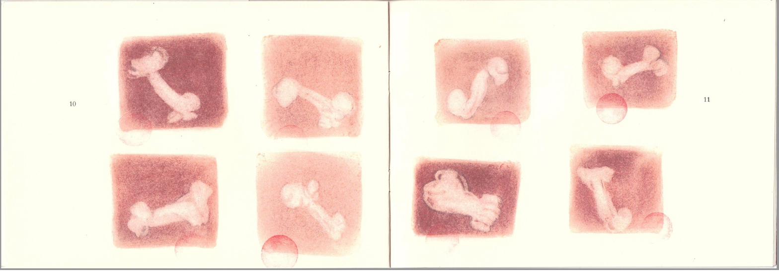 33 petits os - intérieur